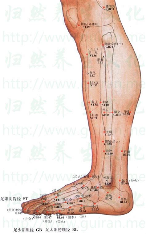 金門穴功效|醫砭 » 經穴庫 » 金門